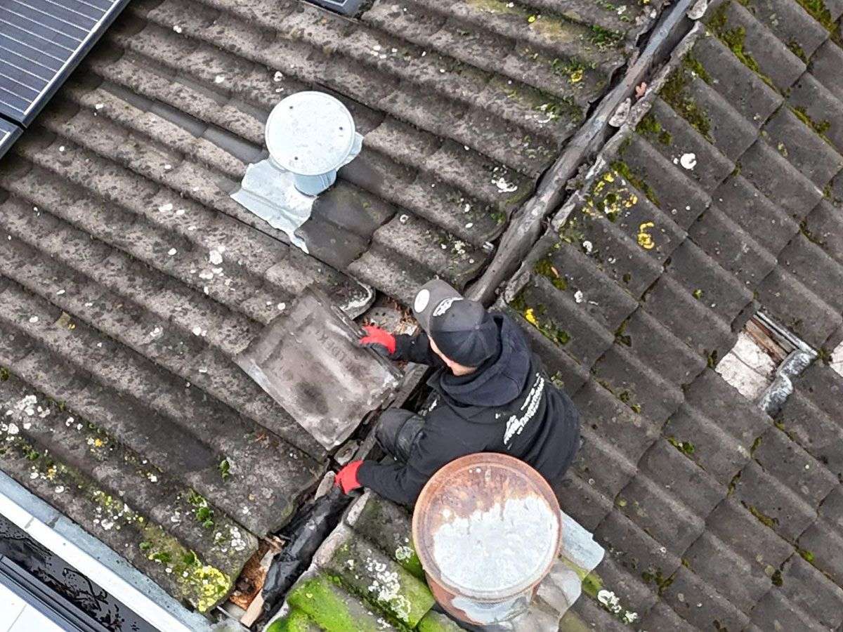 Dakdekker tilt een dakpan op van een pannendak met veel mos en groene aanslag